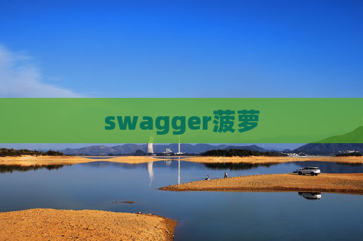 swagger菠萝