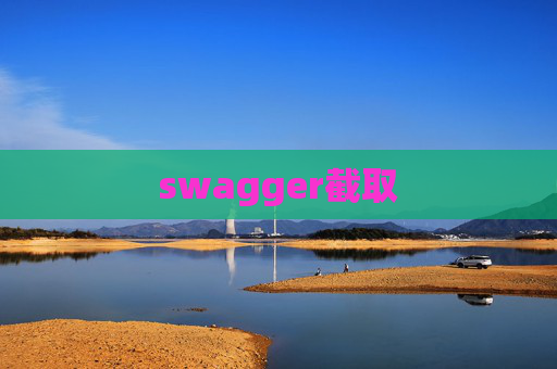 swagger截取