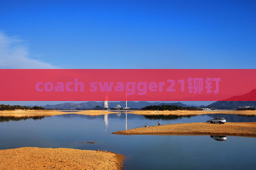coach swagger21铆钉